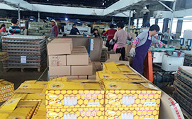 开云官方网页版包装